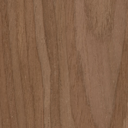 PS Walnut Echo Wood