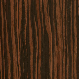 Qtr. Macassar Ebony Echo Wood