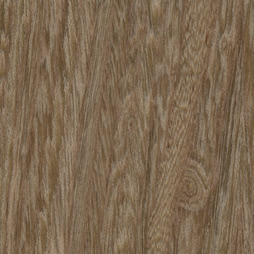 Santa Monica Echo Wood